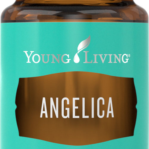 Angelica - 5ml