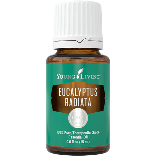 Eucalyptus Radiata - 15ml