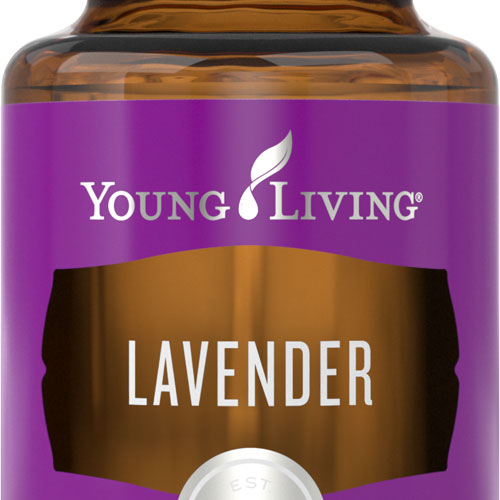 Lavender - 15ml